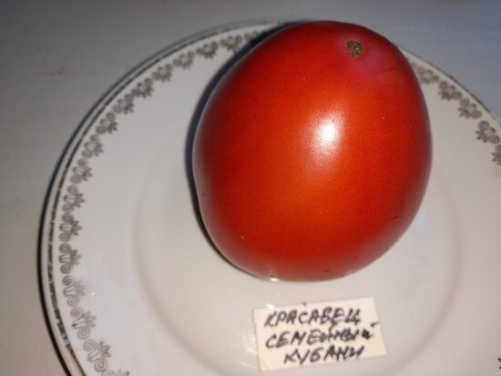 Красавец семейный Кубань